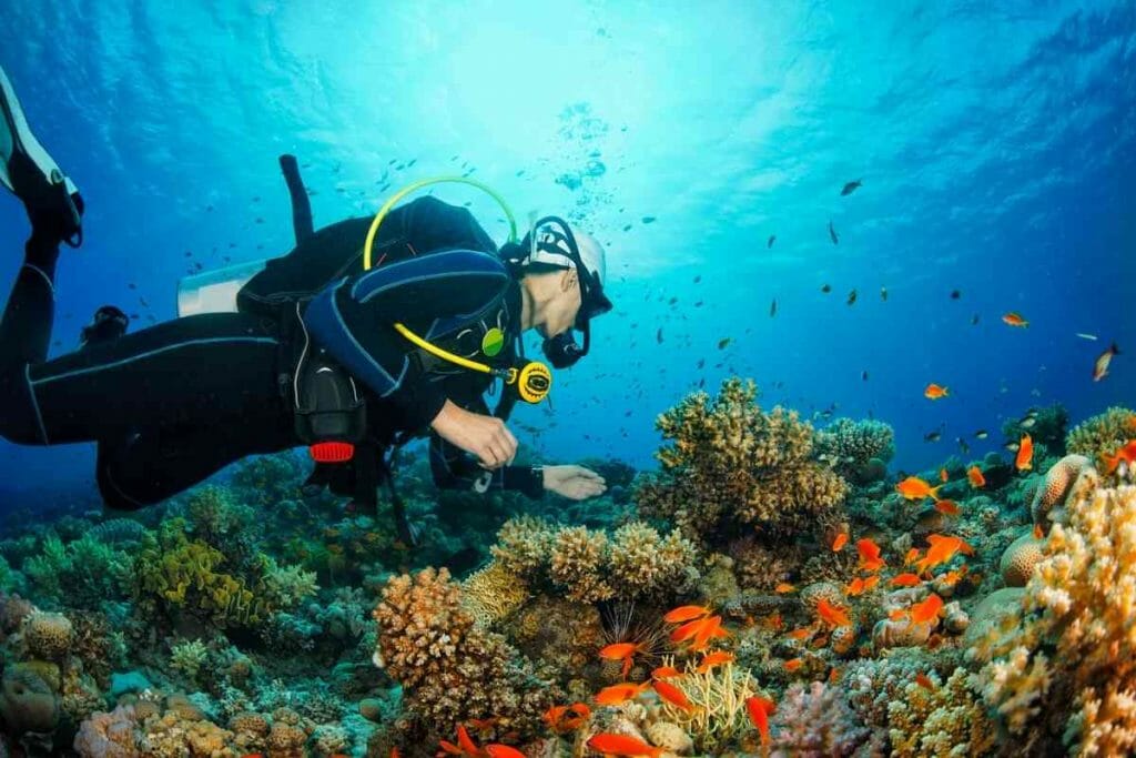 Is scuba diving hard for beginners?