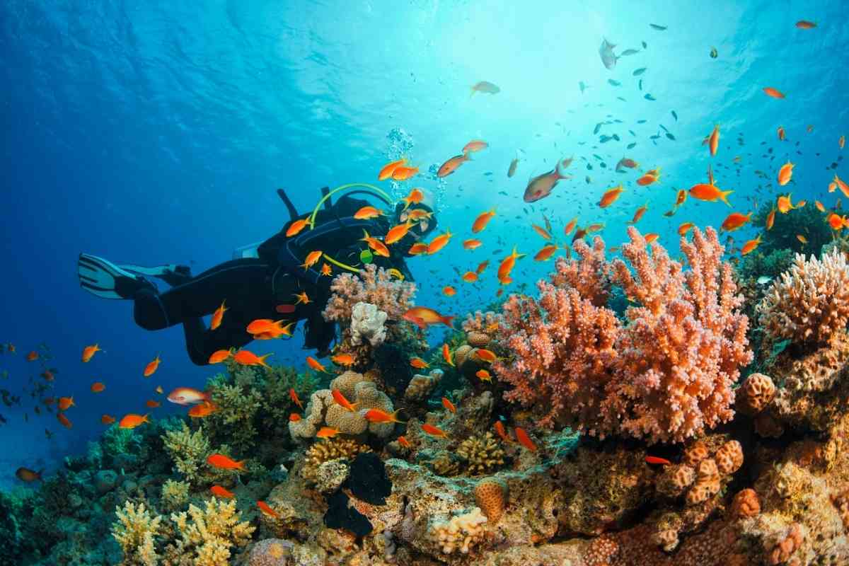 Is scuba diving hard for beginners?